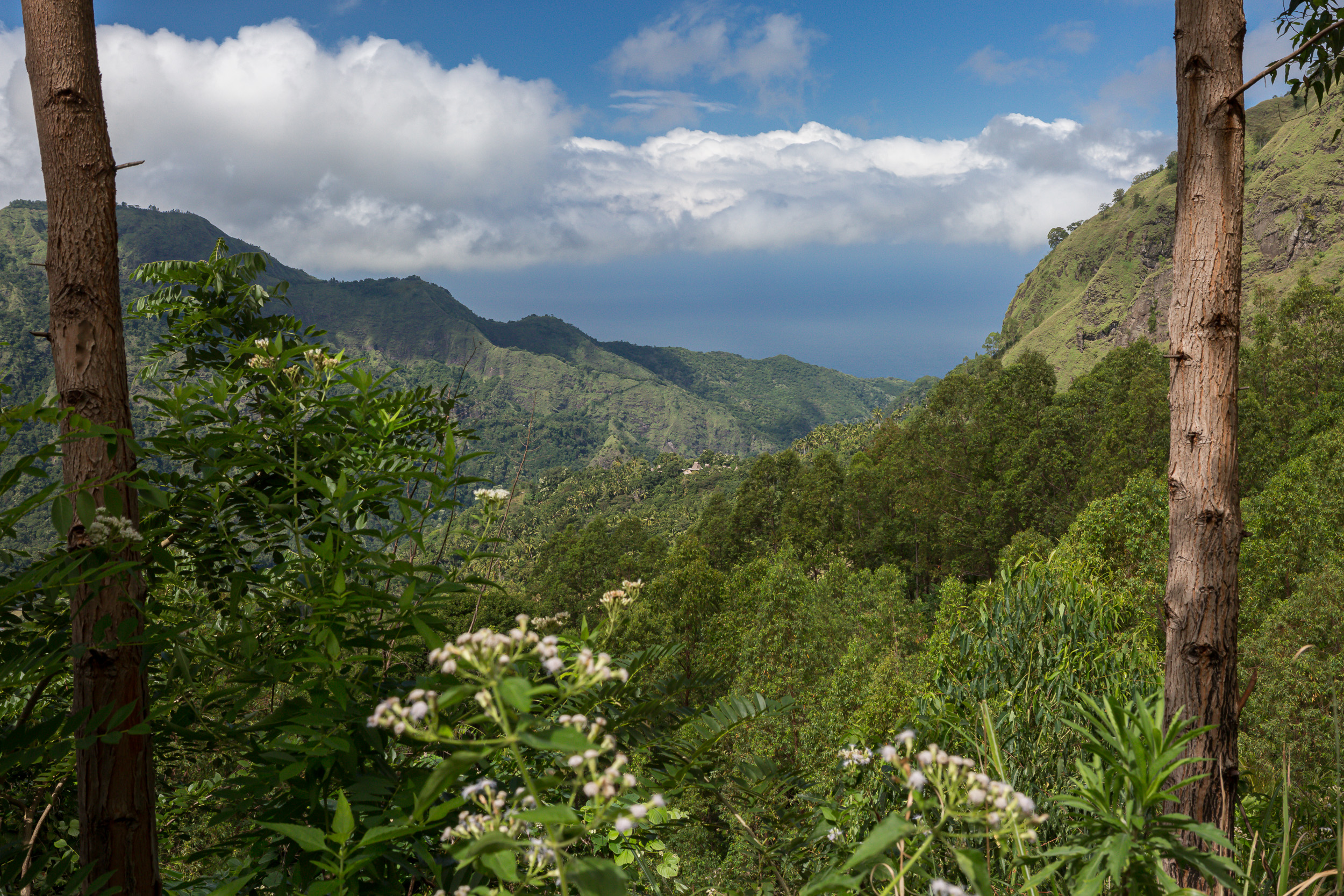 Gurusina, Indonesia, bajawa, flores