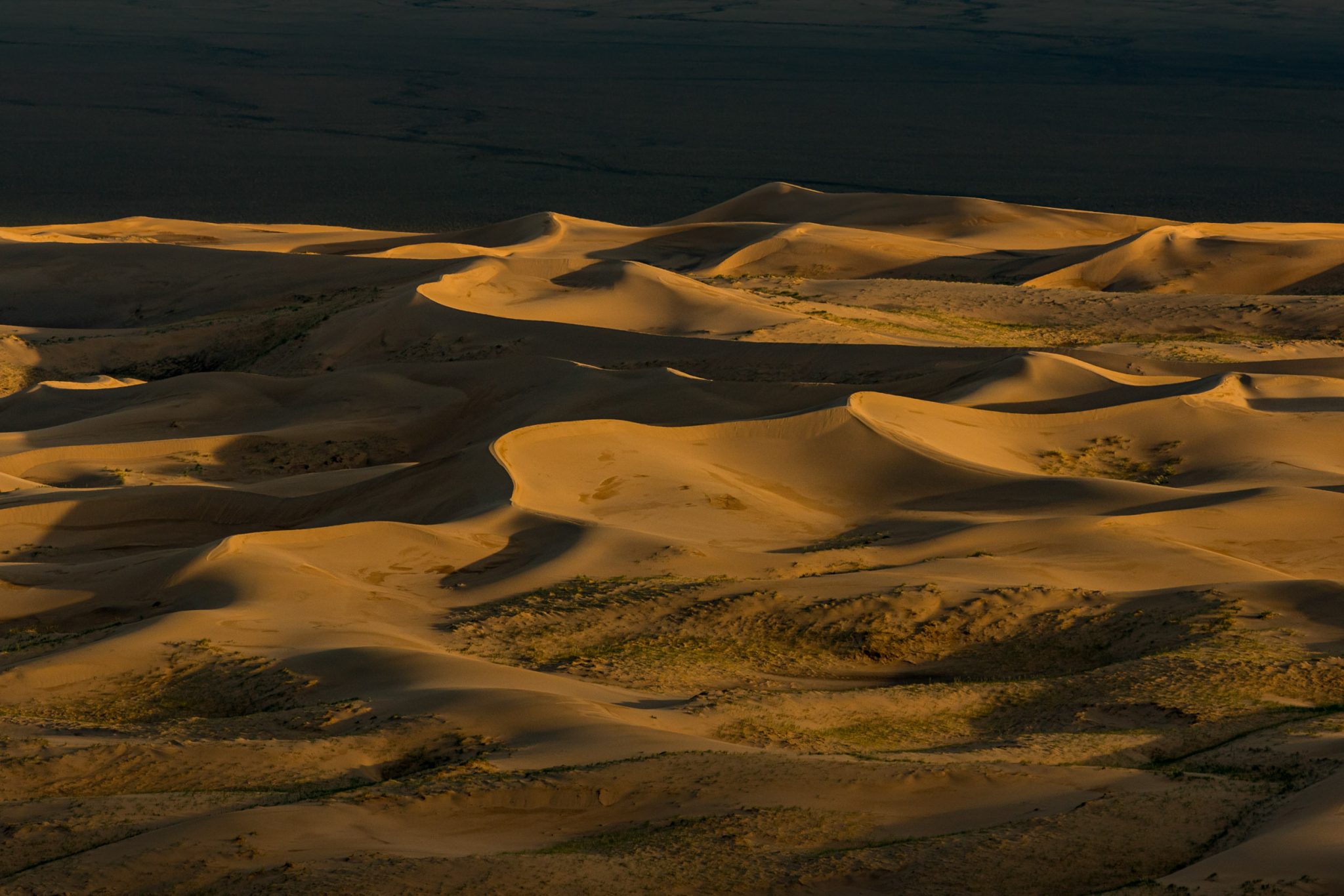 Gobi Desert, Highlights, Khongoryn Els, Mongolia