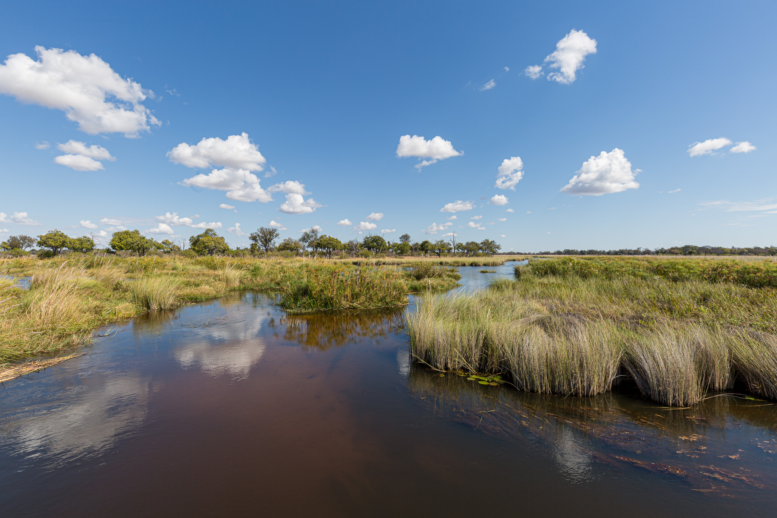 Africa, Moremi Game Reserve, Okavango, botswana