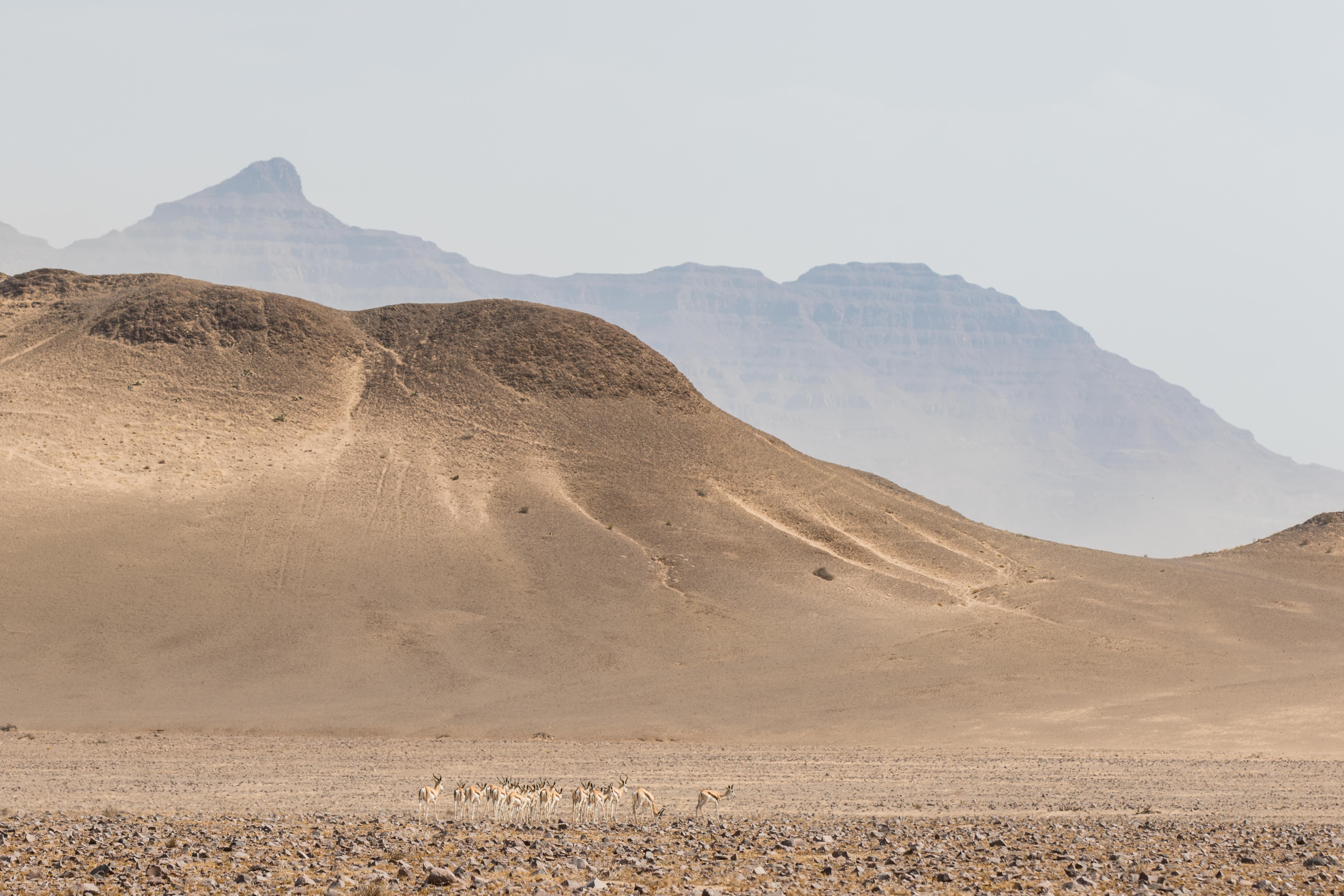 Best of Huab Namibia Duniart Photography and Blog by Toine IJsseldijk