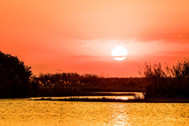 Chobe National Park in Botswana