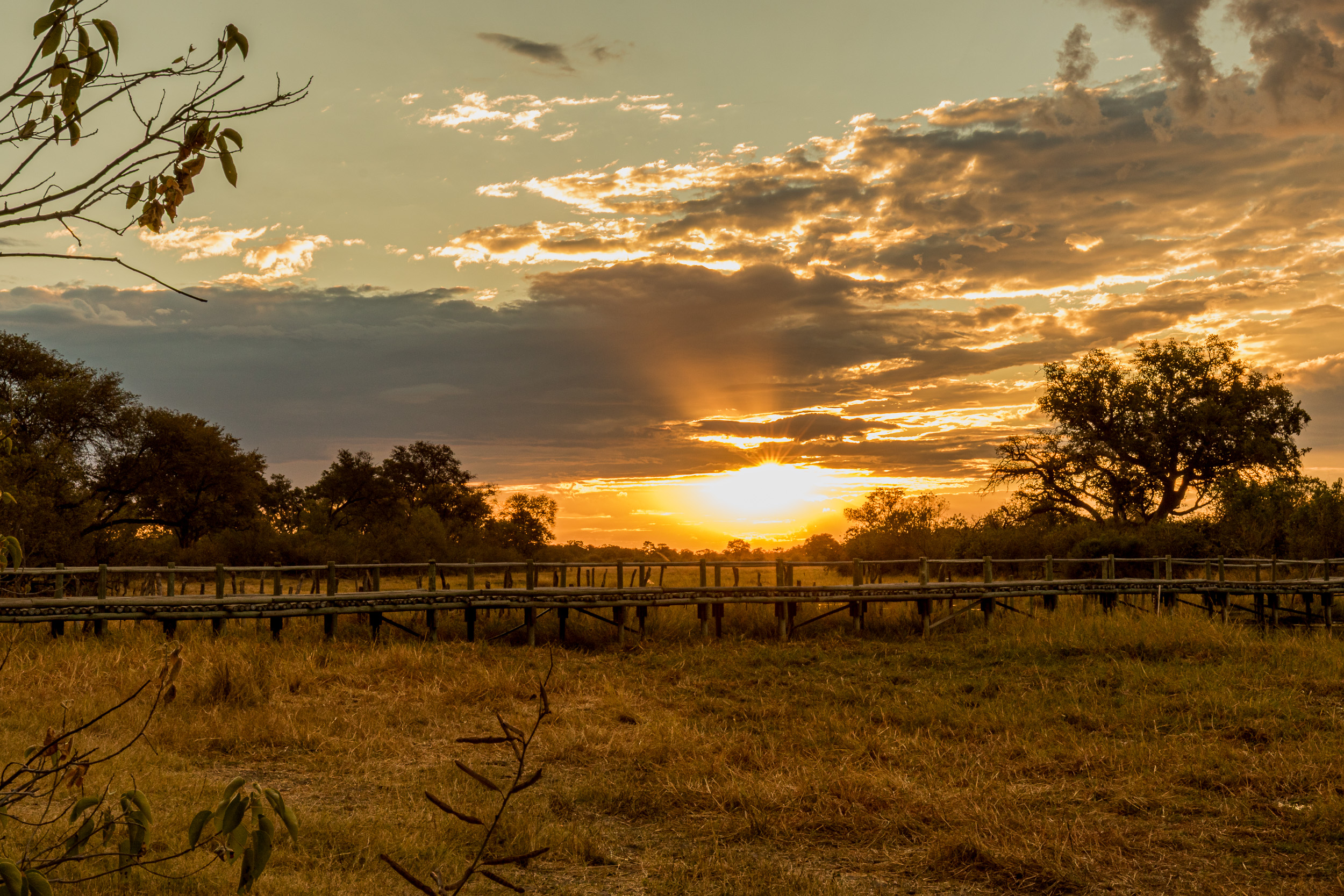 Africa, Moremi Game Reserve, North Bridge Camp, botswana