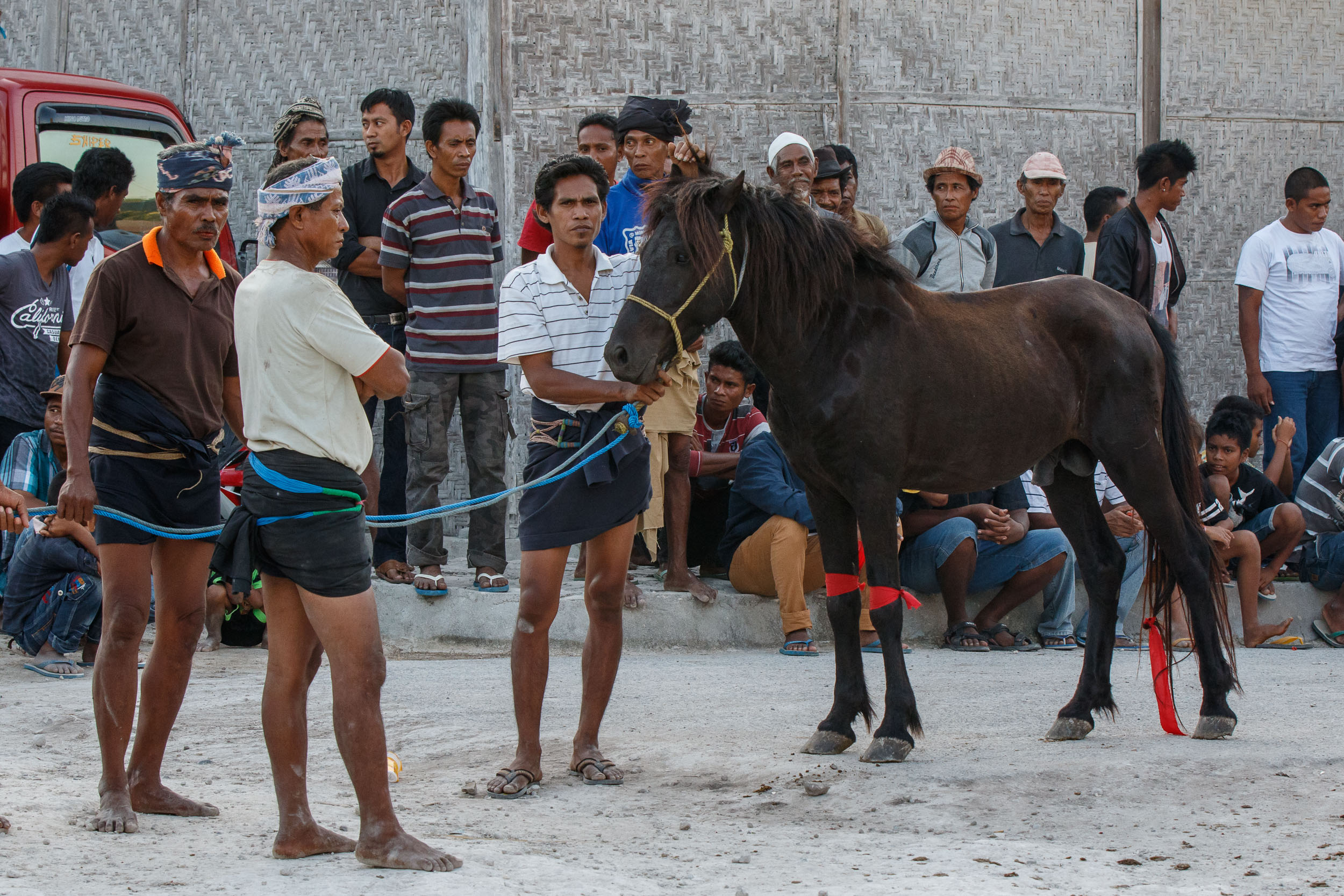 Culture, Indonesia, Sumba, funeral, praiyawang