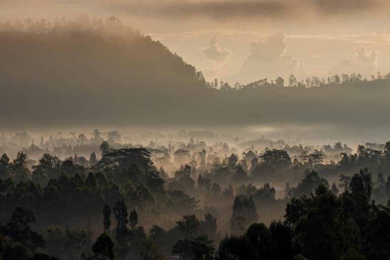 Pinggan – Batur, Northeast Bali