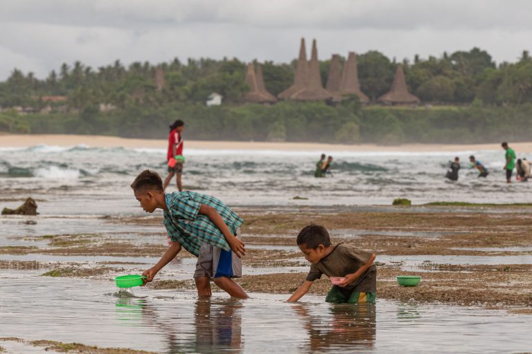 Culture, Indonesia, Pasola, Sumba, Wainyapu, ceremony, nyale