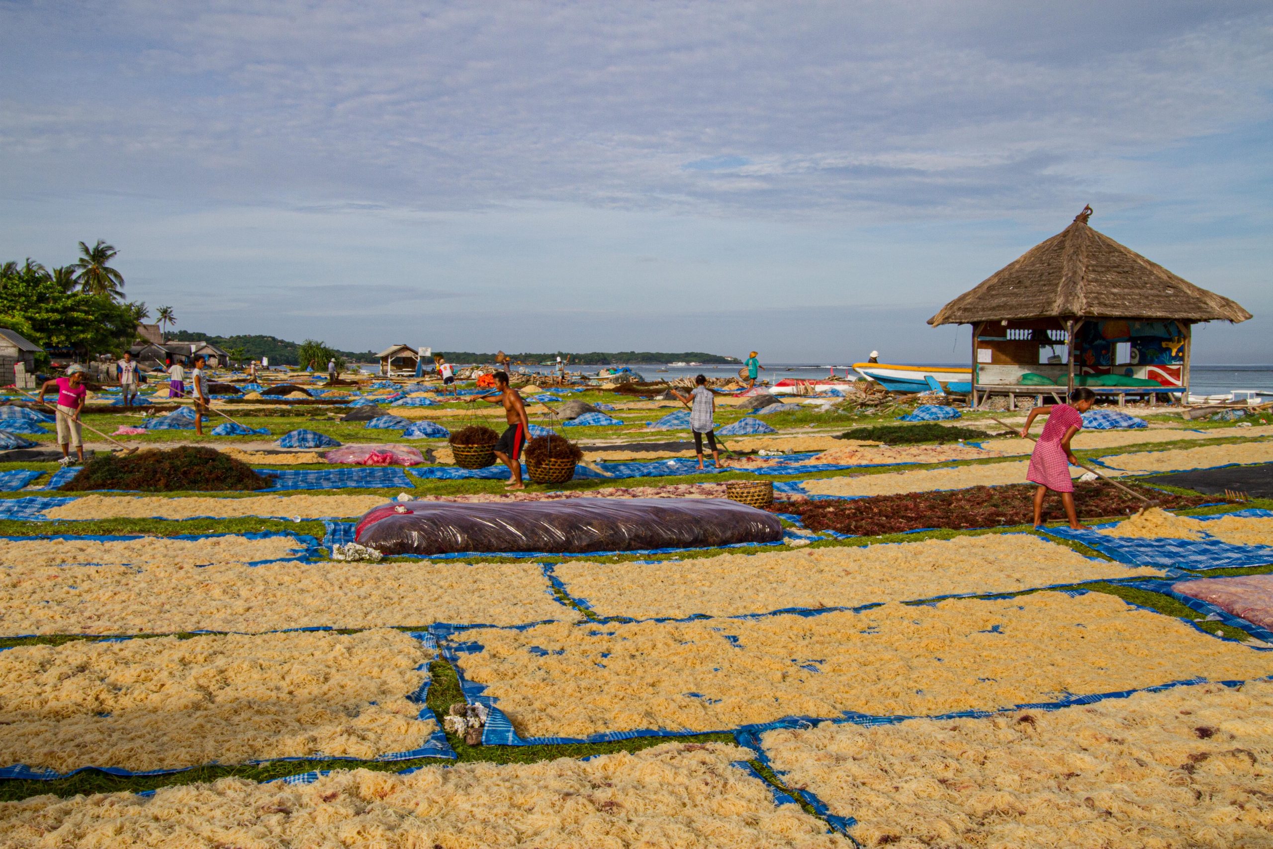  Nusa  Lembongan  Duniart Photography and Blog  by Toine 