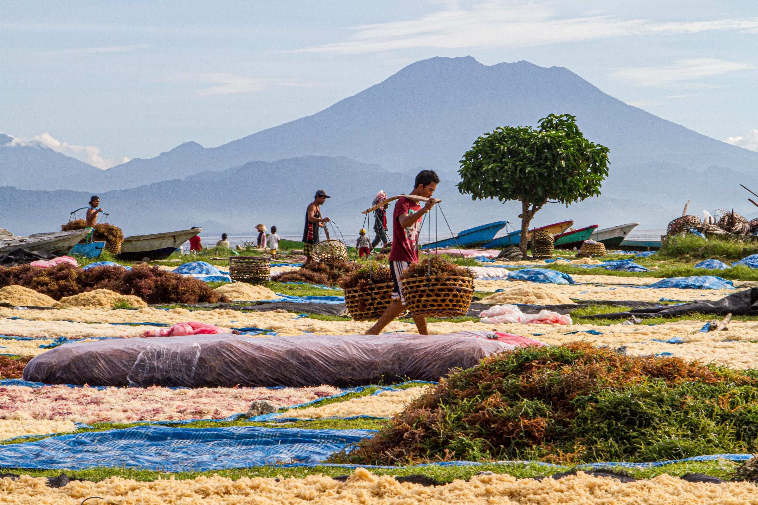  Nusa  Lembongan  Duniart Photography and Blog  by Toine 