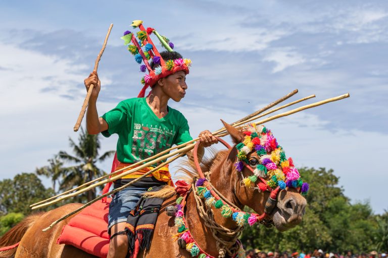 Culture, Indonesia, Pasola, Sumba, ceremony