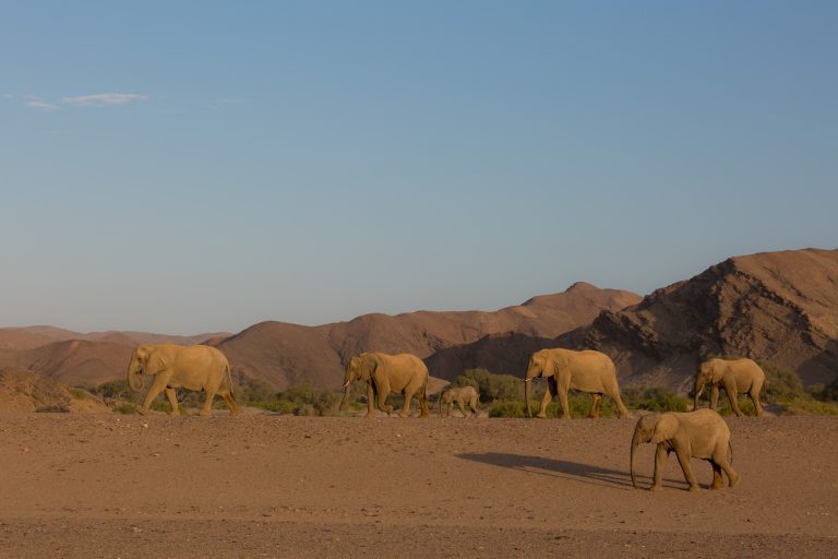 Hoanib, Mega, Namibia