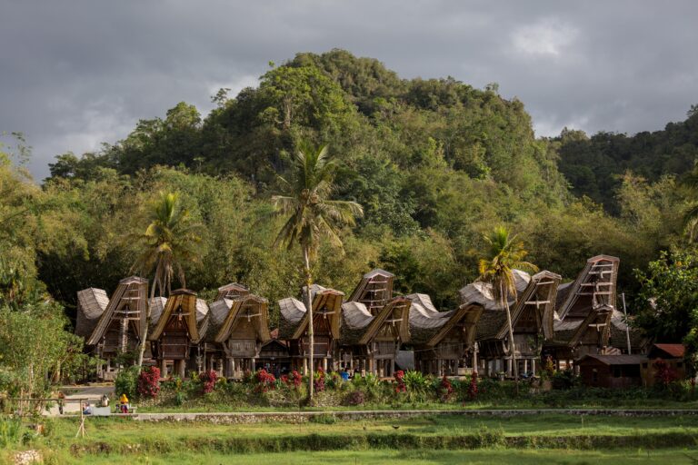 A traditional village with Tongkonans in Tana Toraja, Sulawesi, Indonesia