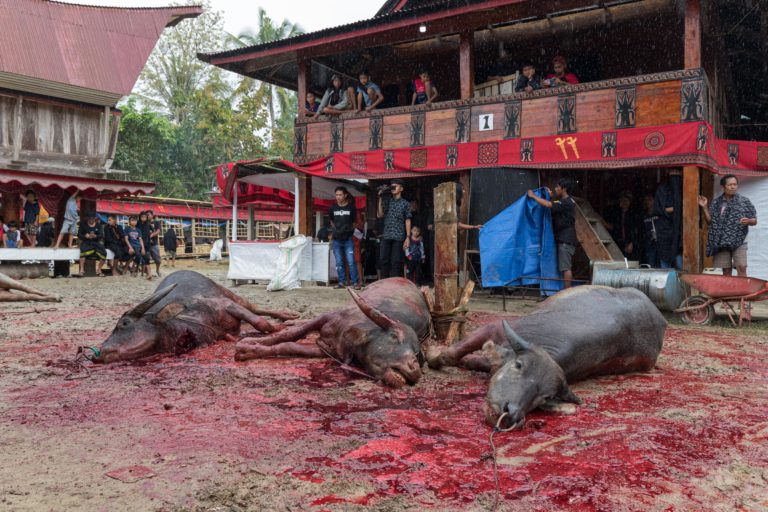 Rambu Solo, Funeral – Tana Toraja