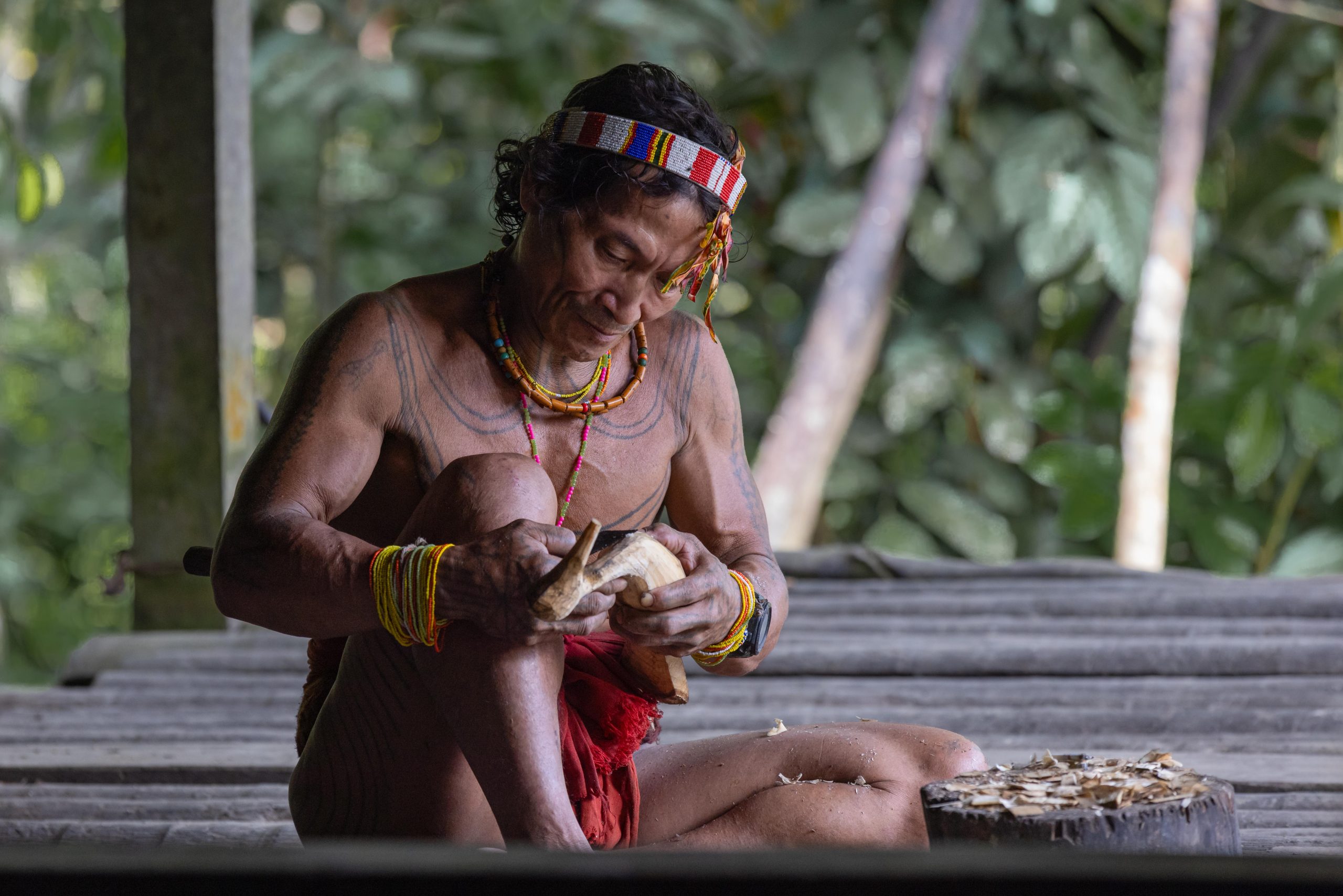 Highlights, Indonesia, Mentawai, Sakuddei, Siberut