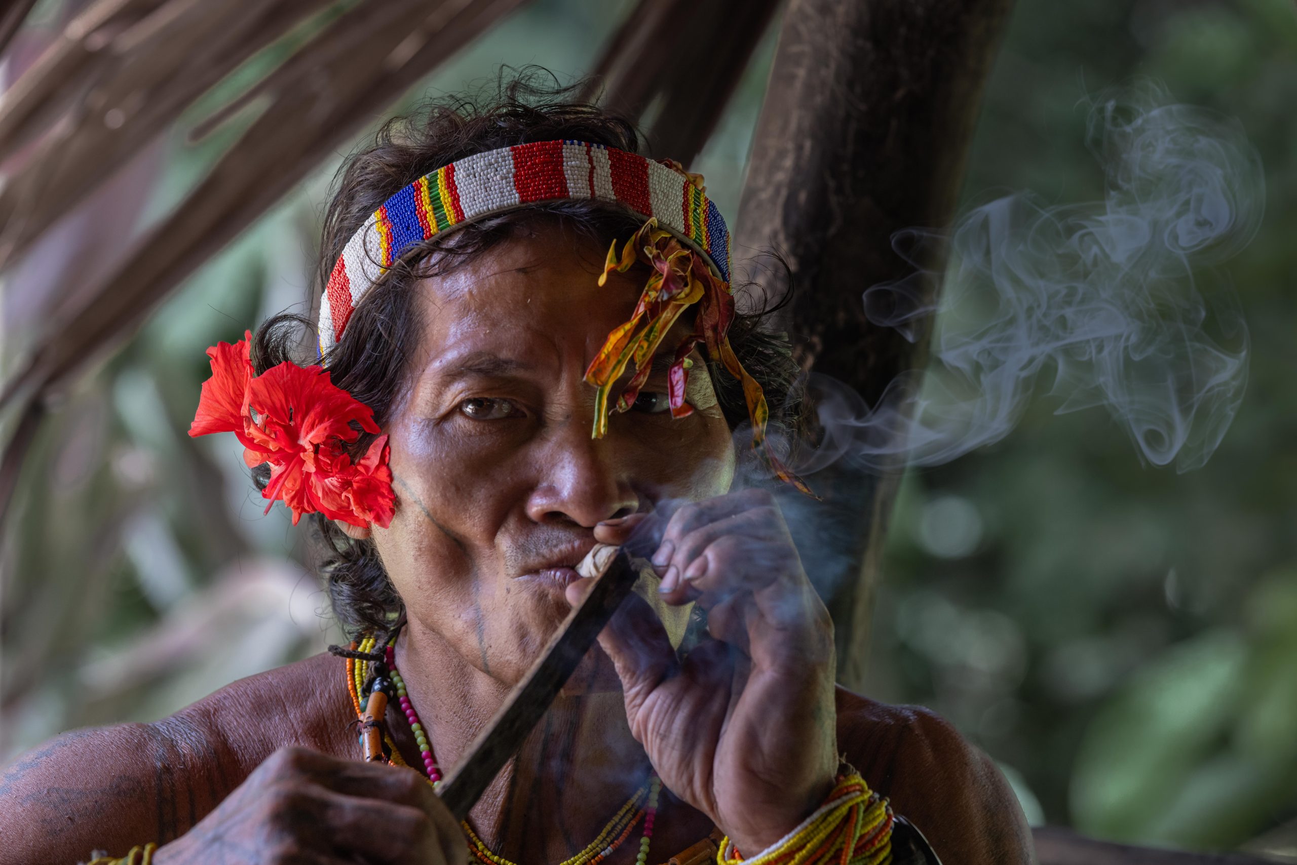Highlights, Indonesia, Mentawai, Sakuddei, Siberut