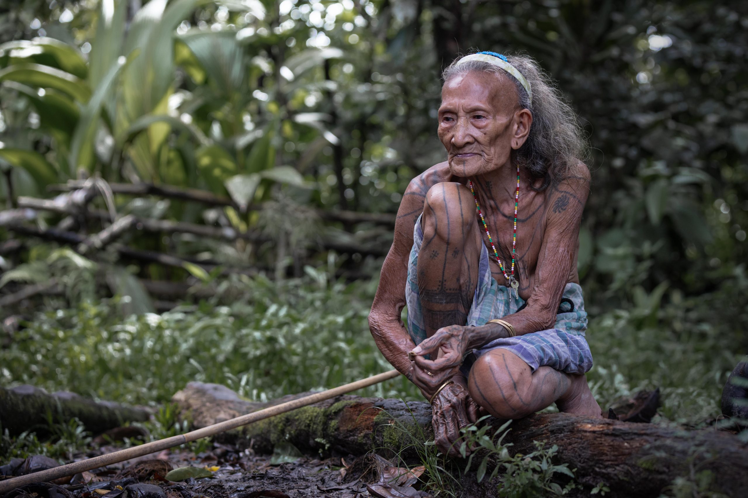 Highlights, Indonesia, Mentawai, Sakuddei, Siberut