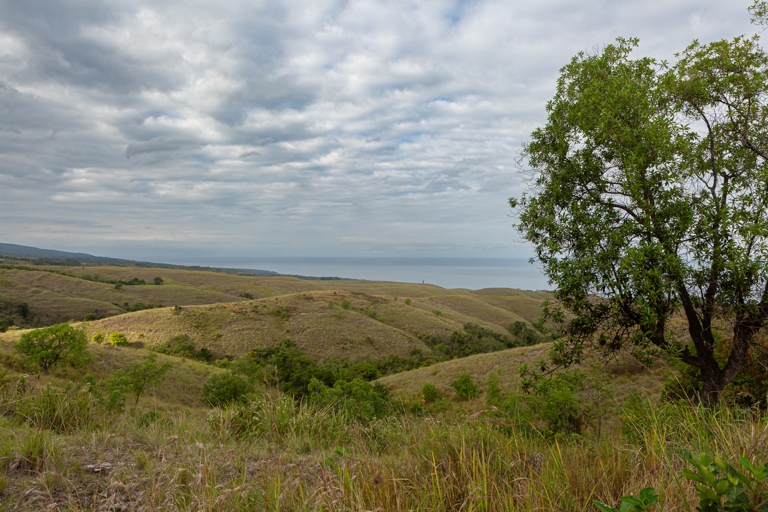 Belaraghi, Indonesia, bajawa, flores